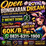 thumbnail-terima-bongkar-chip-hdi-higgs-domino-island-dan-royal-dream-wa-0831-6311-1900-0
