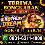 thumbnail-terima-bongkar-chip-hdi-higgs-domino-island-dan-royal-dream-wa-0831-6311-1900-0