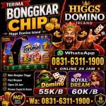 thumbnail-terima-bongkaran-chip-higgs-domino-island-amanah-dan-terpercaya-wa-083163111900-0