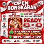 thumbnail-khusus-terima-bongkar-chip-domino-island-higgs-buka-24jam-wa0831-6902-1322-0