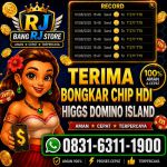thumbnail-terima-bongkaran-chip-higgs-domino-island-amanah-dan-terpercaya-wa-083163111900-0