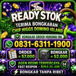 thumbnail-khusus-terima-bongkar-chip-domino-island-higgs-buka-24jam-wa0831-6311-1900-0