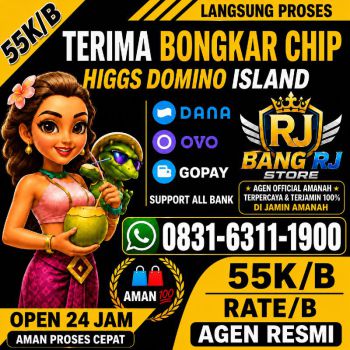 TERIMA BONGKAR CHIP HDI HIGGS DOMINO ISLAND JUAL BELI CHIP HDI WA 083163111900