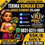thumbnail-terima-bongkar-chip-hdi-higgs-domino-island-jual-beli-chip-hdi-wa-083163111900-0