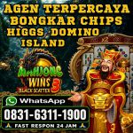 thumbnail-terima-bongkaran-chip-higgs-domino-island-amanah-dan-terpercaya-wa-083163111900-0