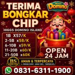 thumbnail-khusus-terima-bongkar-chip-domino-island-higgs-buka-24jam-wa0831-6311-1900-0