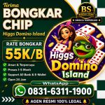 thumbnail-terima-bongkaran-chip-higgs-domino-island-amanah-dan-terpercaya-wa-083163111900-0