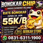 thumbnail-terima-bongkar-chip-hdi-higgs-domino-island-jual-beli-chip-hdi-wa-083163111900-0