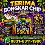 thumbnail-terima-bongkar-chip-hdi-higgs-domino-island-dan-royal-dream-wa-0831-6311-1900-0