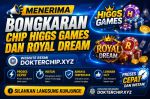 thumbnail-bongkar-chip-higgs-domino-0