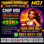 thumbnail-agen-terima-bongkar-chip-domino-higgs-island-games-hdihgi-wa-0821-6311-139-0