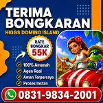 thumbnail-khusus-terima-bongkar-chip-domino-island-higgs-buka-24jam-wa0831-9834-2001-0