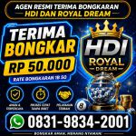 thumbnail-terima-bongkar-chip-hdi-higgs-domino-island-dan-royal-dream-wa-0831-9834-2001-0