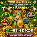 thumbnail-terima-bongkaran-chip-higgs-domino-island-amanah-dan-terpercaya-wa-083198342001-0