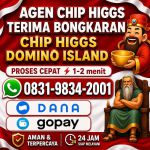 thumbnail-khusus-terima-bongkar-chip-domino-island-higgs-buka-24jam-wa0831-9834-2001-0