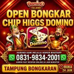 thumbnail-terima-bongkar-chip-hdi-higgs-domino-island-jual-beli-chip-hdi-wa-083198342001-0