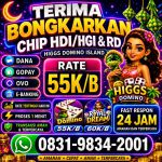 thumbnail-terima-bongkar-chip-hdi-higgs-domino-island-dan-royal-dream-wa-0831-9834-2001-0