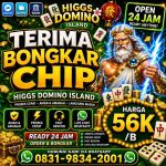 thumbnail-terima-bongkaran-chip-higgs-domino-island-amanah-dan-terpercaya-wa-083198342001-0