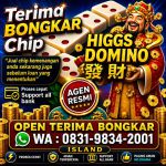 thumbnail-khusus-terima-bongkar-chip-domino-island-higgs-buka-24jam-wa0831-9834-2001-0