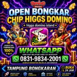 thumbnail-terima-bongkar-chip-hdi-higgs-domino-island-jual-beli-chip-hdi-wa-083198342001-0