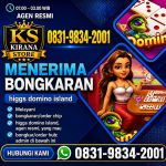 thumbnail-terima-bongkaran-chip-higgs-domino-island-amanah-dan-terpercaya-wa-083198342001-0