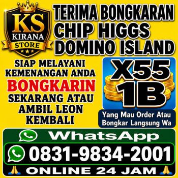 TERIMA BONGKAR CHIP HDI HIGGS DOMINO ISLAND JUAL BELI CHIP HDI WA 083198342001