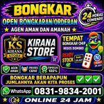 thumbnail-terima-bongkaran-chip-higgs-domino-island-amanah-dan-terpercaya-wa-083198342001-0