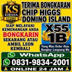thumbnail-khusus-terima-bongkar-chip-domino-island-higgs-buka-24jam-wa0831-9834-2001-0