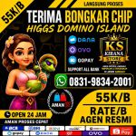 thumbnail-terima-bongkar-chip-hdi-higgs-domino-island-jual-beli-chip-hdi-wa-083198342001-0
