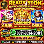 thumbnail-khusus-terima-bongkar-chip-domino-island-higgs-buka-24jam-wa0831-9834-2001-0