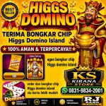 thumbnail-khusus-terima-bongkar-chip-domino-island-higgs-buka-24jam-wa0831-9834-2001-0