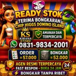 thumbnail-terima-bongkar-chip-hdi-higgs-domino-island-jual-beli-chip-hdi-wa-083198342001-0