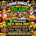thumbnail-khusus-terima-bongkar-chip-domino-island-higgs-buka-24jam-wa0831-9834-2001-0