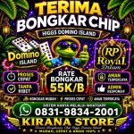 thumbnail-terima-bongkar-chip-hdi-higgs-domino-island-dan-royal-dream-wa-0831-9834-2001-0