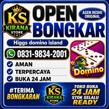 Terima Bongkar chip Hdi Higgs domino Island Jual Beli Chip Hdi Terpercaya