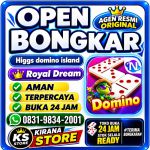 thumbnail-khusus-terima-bongkar-chip-domino-island-higgs-buka-24jam-wa0831-9834-2001-0