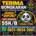 thumbnail-terima-bongkar-chip-hdi-higgs-domino-island-jual-beli-chip-hdi-wa-083198342001-0