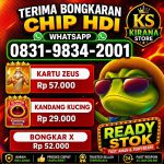 thumbnail-khusus-terima-bongkar-chip-domino-island-higgs-buka-24jam-wa0831-9834-2001-0