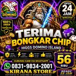 thumbnail-terima-bongkar-chip-hdi-higgs-domino-island-jual-beli-chip-hdi-wa-083198342001-0