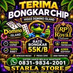 thumbnail-terima-bongkar-chip-hdi-higgs-domino-island-dan-royal-dream-wa-0831-9834-2001-0