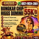 thumbnail-khusus-terima-bongkar-chip-domino-island-higgs-buka-24jam-wa0831-9834-2001-0