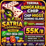 thumbnail-terima-bongkar-chip-hdi-higgs-domino-island-dan-royal-dream-wa-0831-9834-2001-0