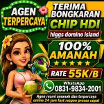 thumbnail-terima-bongkar-chip-hdi-higgs-domino-island-jual-beli-chip-hdi-wa-083198342001-0
