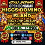 thumbnail-terima-bongkar-chip-hdi-higgs-domino-island-jual-beli-chip-hdi-wa-083198342001-0