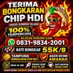 thumbnail-terima-bongkaran-chip-higgs-domino-island-amanah-dan-terpercaya-wa-083198342001-0
