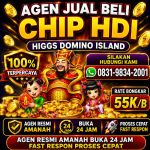 thumbnail-terima-bongkar-chip-hdi-higgs-domino-island-jual-beli-chip-hdi-wa-083198342001-0
