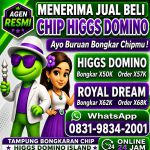 thumbnail-terima-bongkar-chip-hdi-higgs-domino-island-dan-royal-dream-wa-0831-9834-2001-0