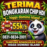 thumbnail-khusus-terima-bongkar-chip-domino-island-higgs-buka-24jam-wa0831-9834-2001-0