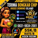 thumbnail-terima-bongkar-chip-hdi-higgs-domino-island-jual-beli-chip-hdi-wa-083198342001-0