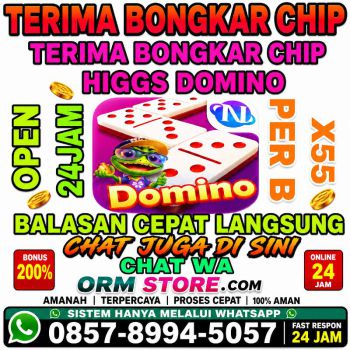 TERIMA BONGKAR CHIP HIGGS DOMINO ISLAND  CHIP HDI